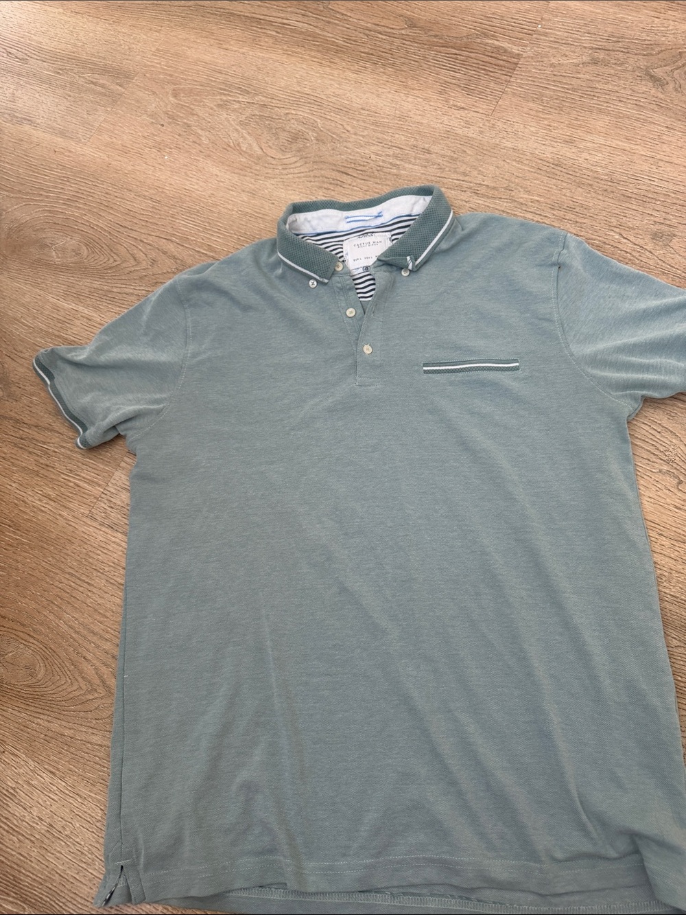 Cactus Man Men's Button-Down Polo Shirt in Sage Green
